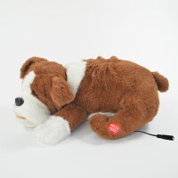 Hund Fridolin adaptiert