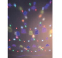 Discokuge