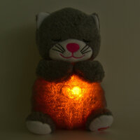 Nachtlicht atmende Katze